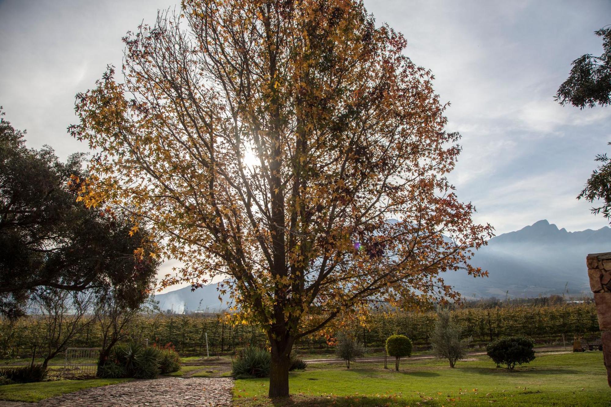 Bergsicht Country Farm Cottages Tulbagh Ruang foto